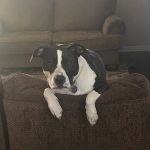 Meet your Posher, Rusty